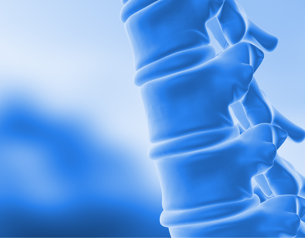 Spinal Decompression Therapy Session Arcola, TX